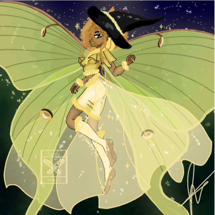 Moth witch 2024